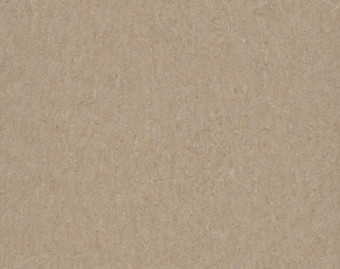 [100111114_2] Marmoleum Terra - 5803 weathered sand